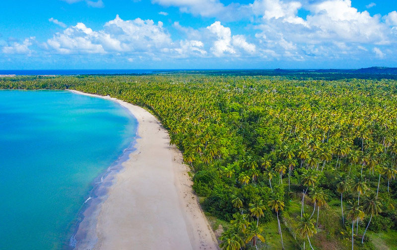Vista aérea de Playa Esmeralda en Miches, rodeada de un extenso palmar y mar turquesa.