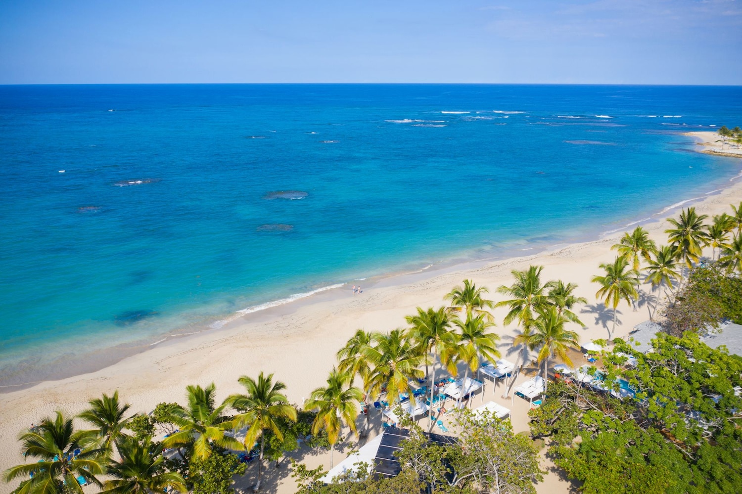 Vista aérea de Playa Dorada en Puerto Plata, con palmeras, arena clara y mar turquesa.