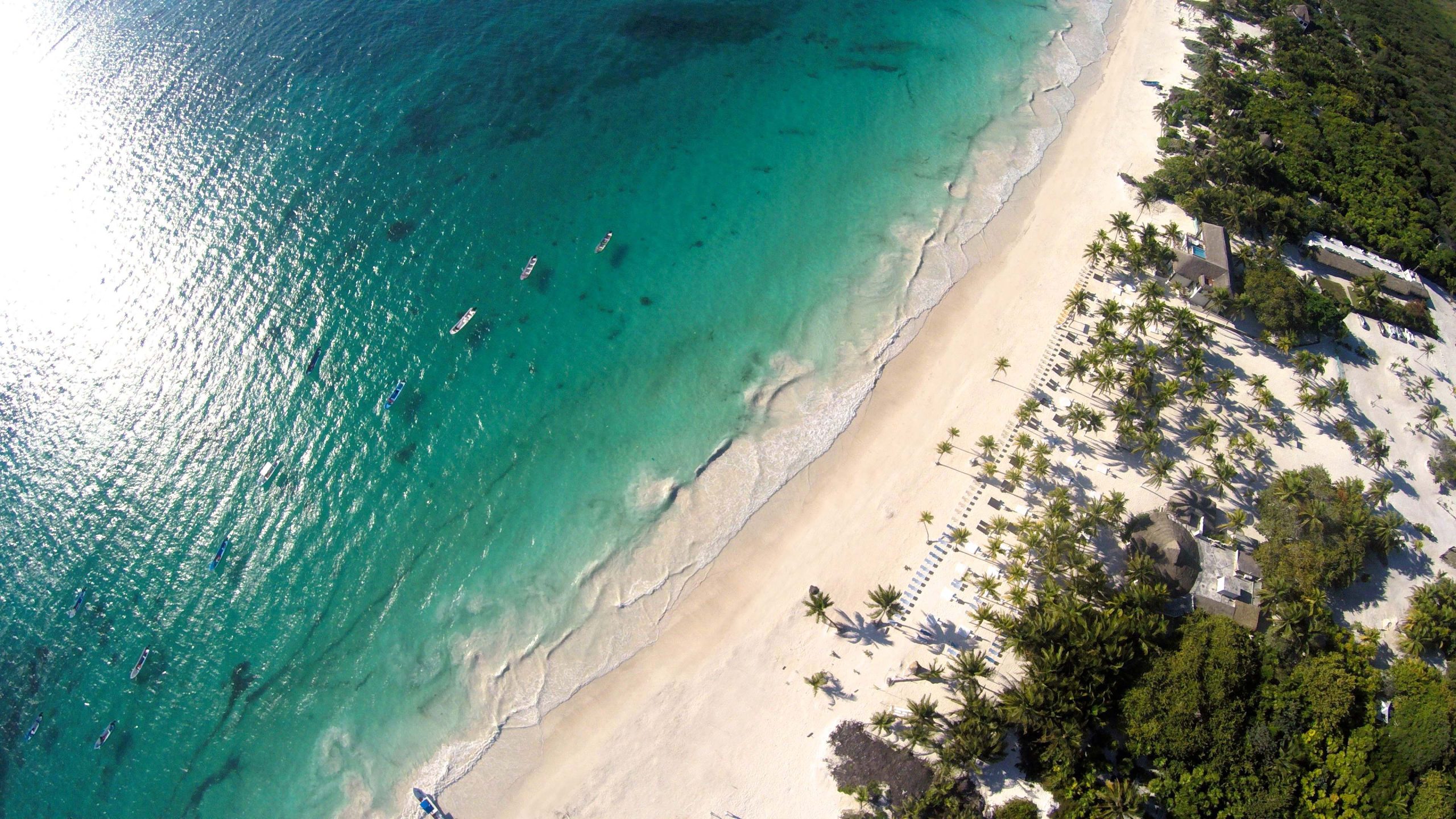 Playa Paraíso en Tulum, con arena blanca, palmeras y mar turquesa vista desde el aire